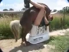 A girl is given a horse drill.